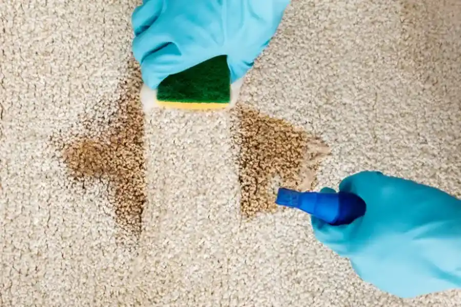 Why Regular Carpet Cleaning Extends The Life Of Your Carpet Memphis, TN